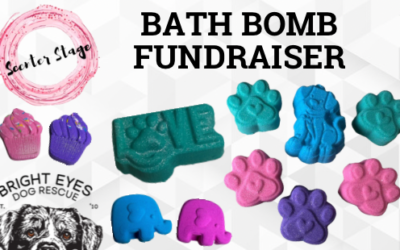Scenter Stage Bath Bomb Fundraiser