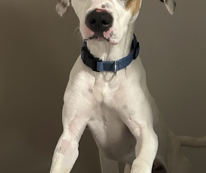 Oakley