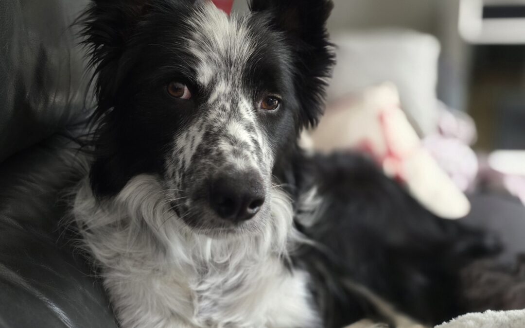 Jethro
