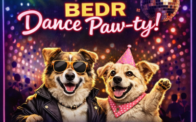 BEDR Dance Paw-ty