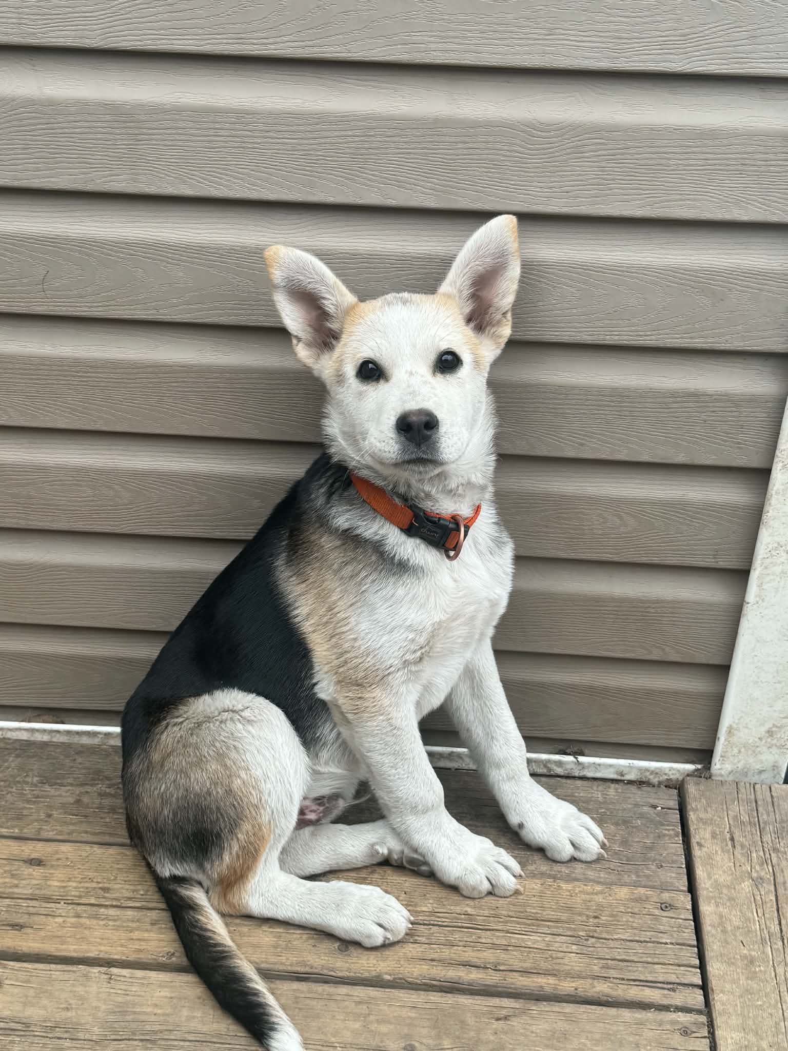 att.jEmxlBZFaFa355BJXC67UacHy-PEFaBoaLztL6sqFKY