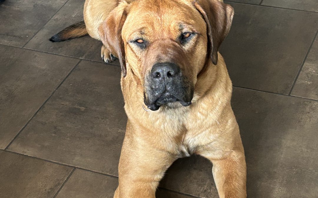 Ruby
