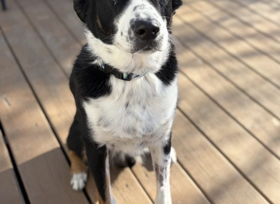 Benny