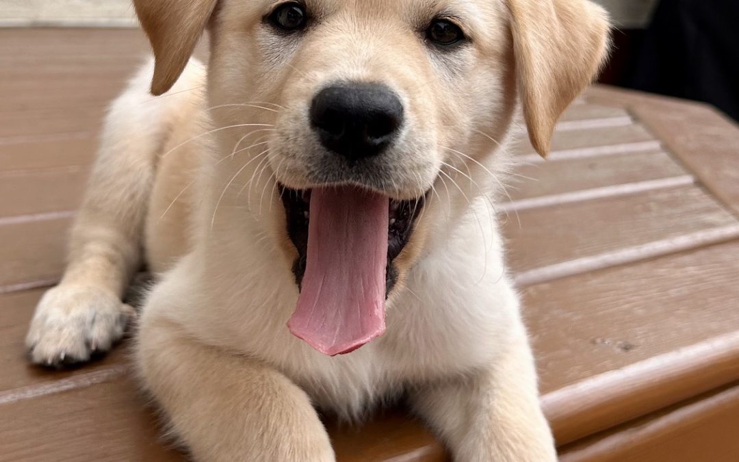 Pluto