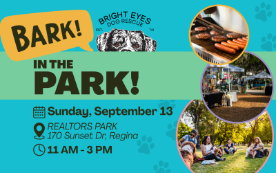 Bark in the Park
