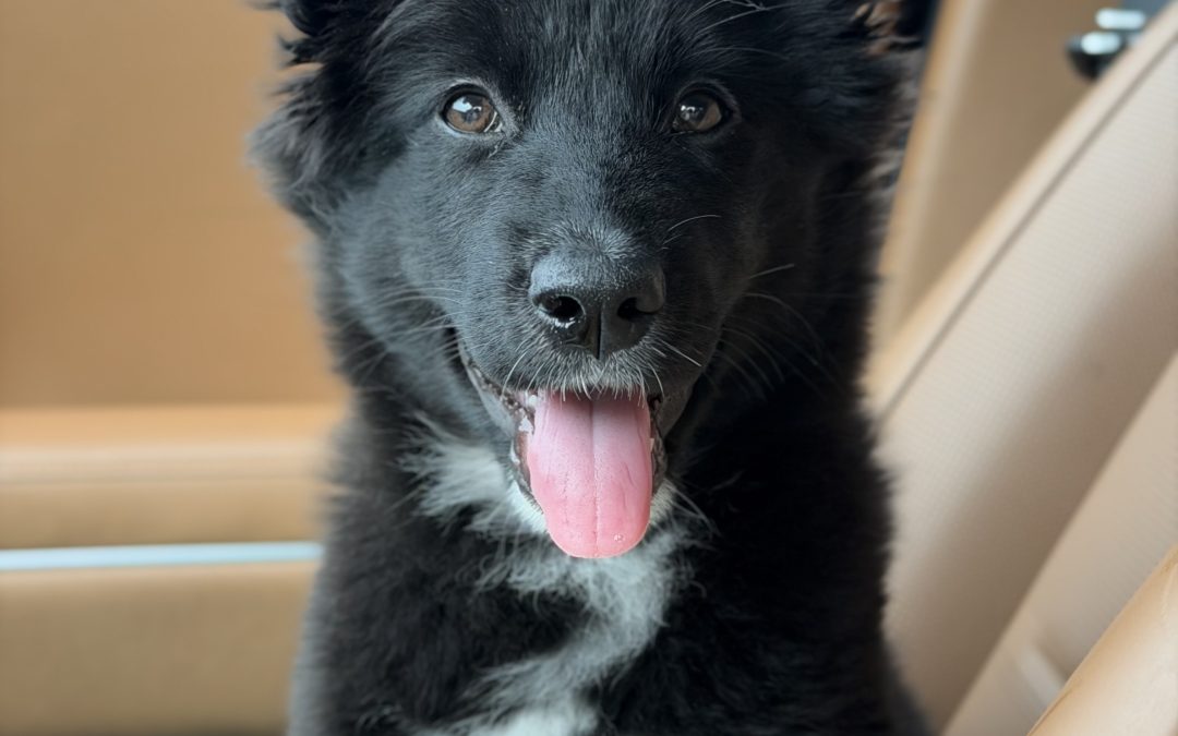Rosie
